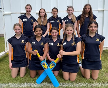 Girls softball cricket