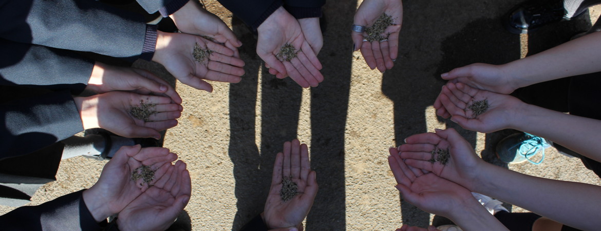 Blog Header Image