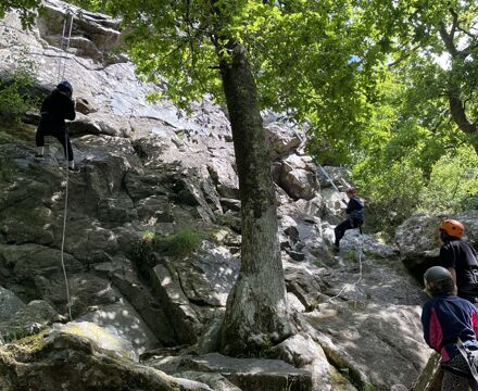 IMG 0141