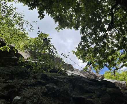 IMG 0150