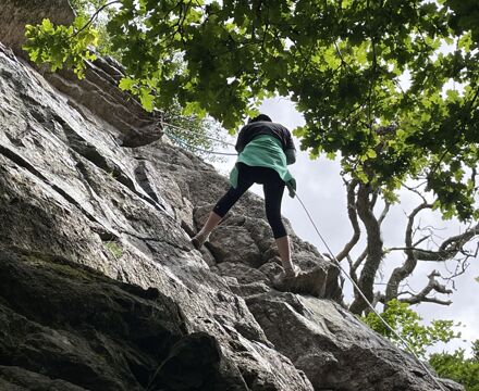 IMG 0152