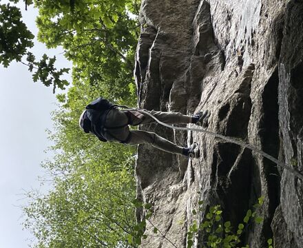 IMG 0153