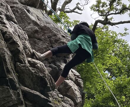 IMG 0154