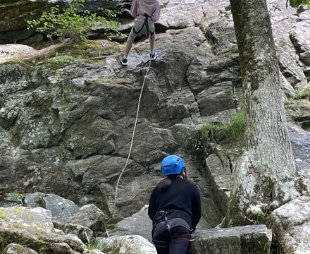 IMG 0162