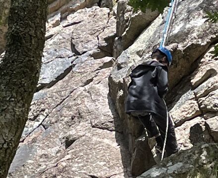 IMG 0175