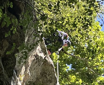 IMG 0193