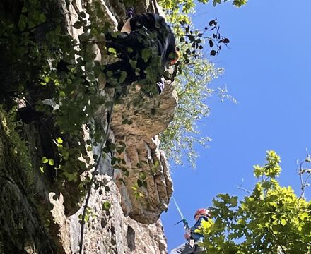 IMG 0194