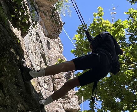 IMG 0195