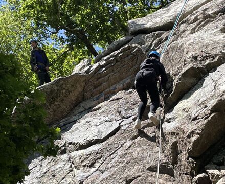 IMG 0199