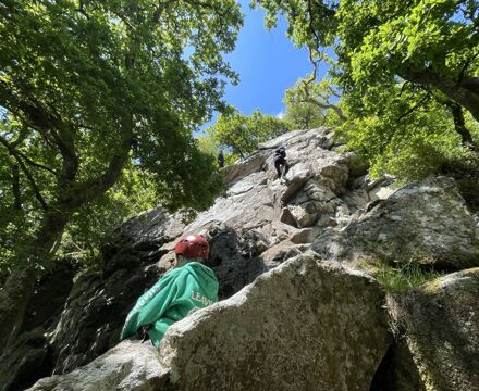 IMG 0200