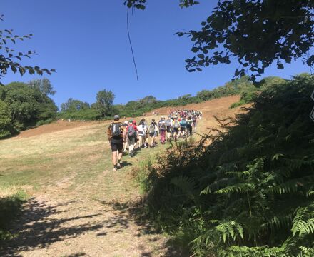 IMG 2105